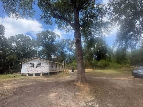 Cleared lot around a single tall oak with a new house behind