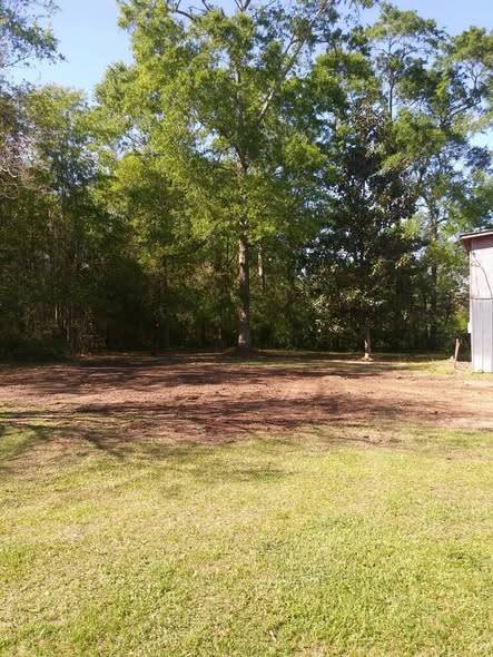 Cleared yard of bare dirt and grass in front of a tree line