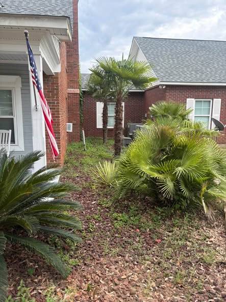 Front bed of palms and sagos with fresh mulch by a brick porch