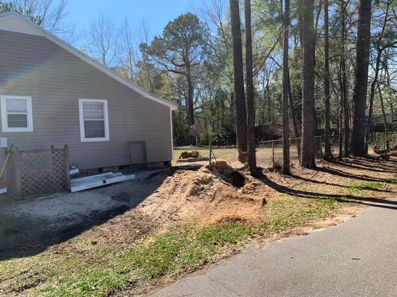 Fresh stump grindings beside a house under tall pines