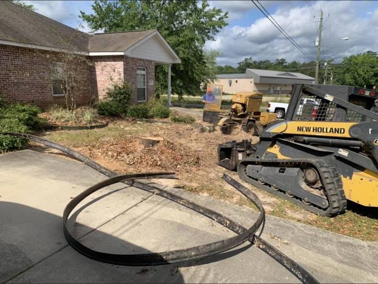 Tracked loader and stump grinder clearing stumps beside a brick building